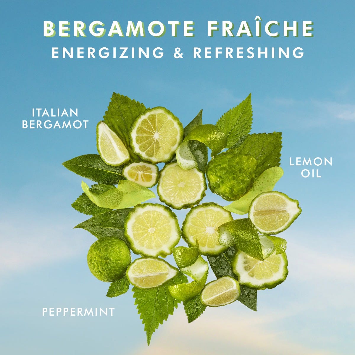 Body Lotion Bergamote Fraîche