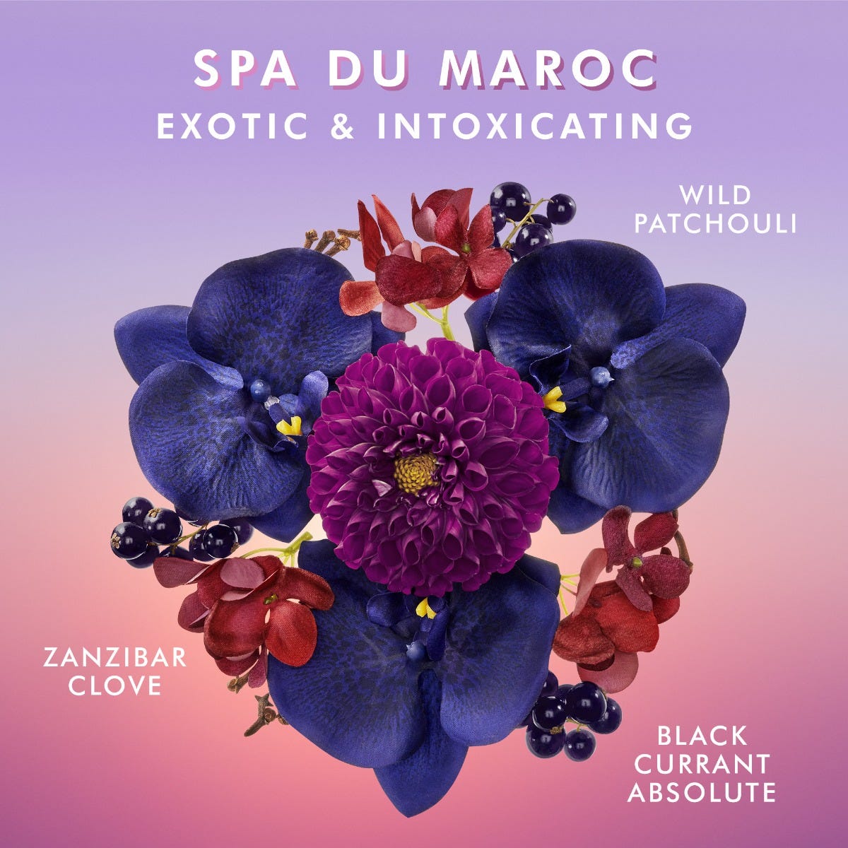 Shower Gel Spa Du Maroc