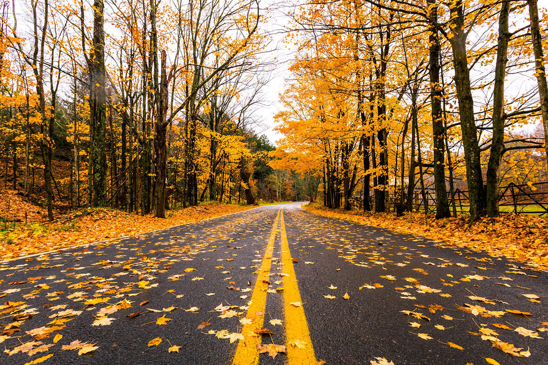 5 Outdoor Day Trips to Take | This Weekend