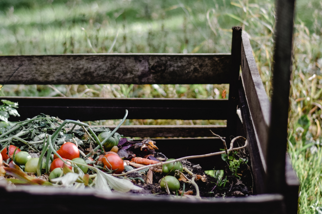 How to Start Composting